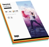 Inapa Tecno Kopierpapier Colors, DIN A4 (500 Blatt, 5 Farben  100 Blatt)